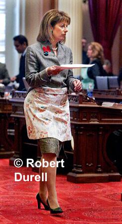 SERVING THE PUBLIC --- Frequently, legislators would abandon their typical business suit attire to make a point -  one of the few visible manifestations of their stands on issues. On this day, senators donned aprons to protest a local minister's comment that it is sinful for a woman with children at home to serve in the Senate or Assembly. Jackie Speier, a mother of two -- who was then a state senator and now serves as a congresswoman from San Francisco -- was one of many who wore an apron in protest.
May 24, 2004